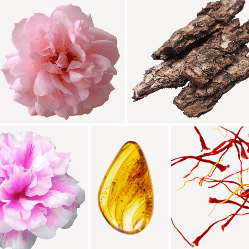 Duftnoten: Bulgarische Rose, Agarholz, Zentifolie, Ambra, Safran